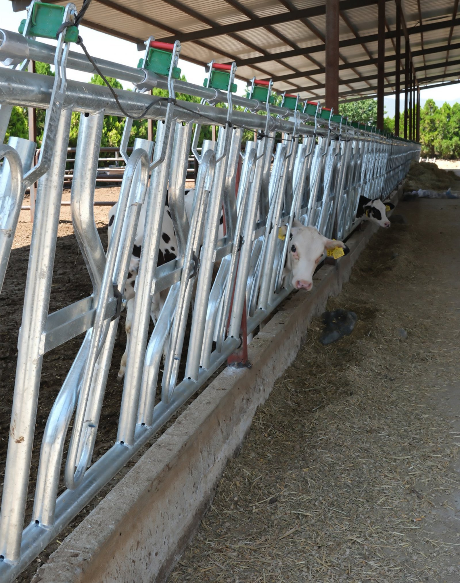 ​Denizli Ahır Ekipmanları