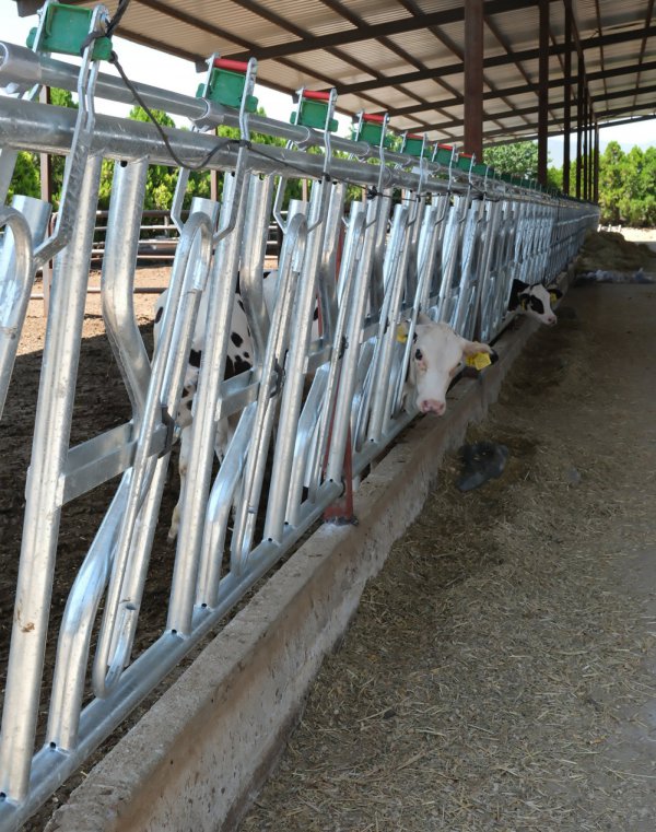 ​Denizli Ahır Ekipmanları